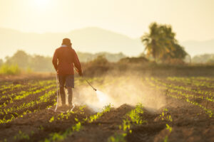 a farmer uses a hand sprayer to apply herbicide to his crops.